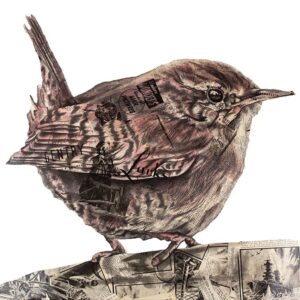 Larks and Landed Gentry
