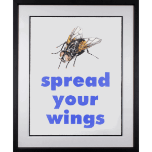 Spread Your Wings