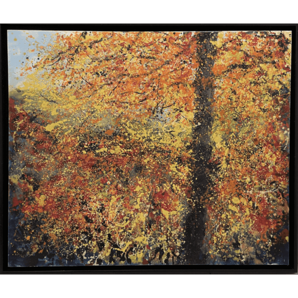 Colours of Autumn