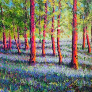 Bluebells Delight