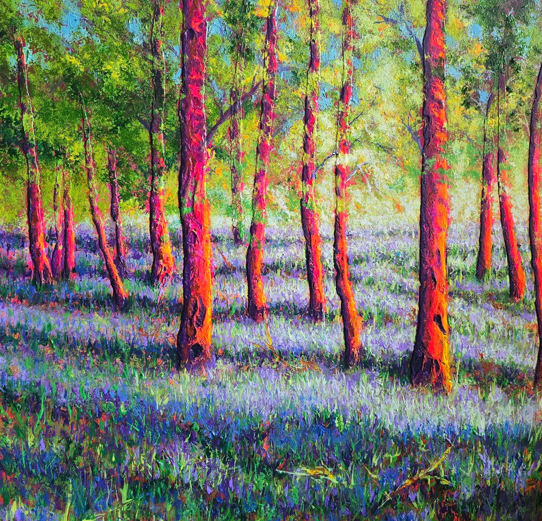 Bluebells Delight