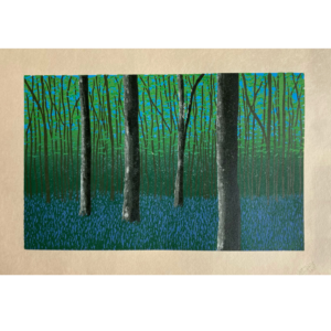 Bluebell Forest
