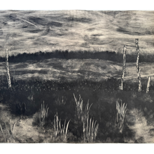 Hidden in the Undergrowth