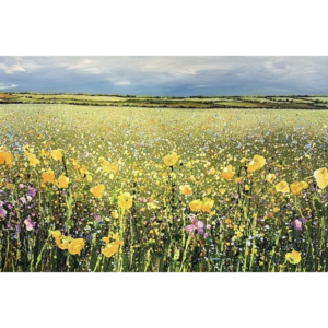 Golden Meadow